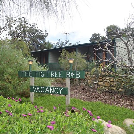 The Fig Tree B&B Baudin Beach Dış mekan fotoğraf